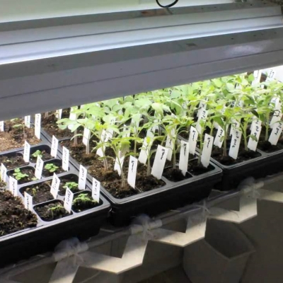 Serie de Bandejas de Germinación de Semillas de PRFV de GTOFRP™