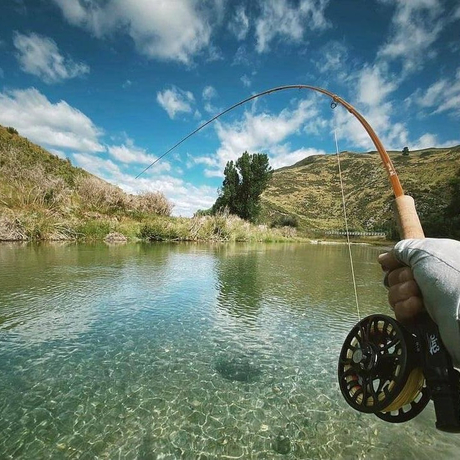 Fiberglass Fishing Poles.jpg