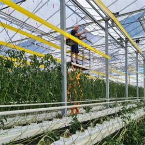 Serie de Estructura de Invernadero de PRFV de GTOFRP™