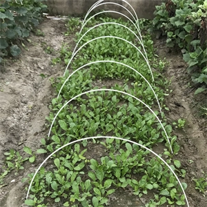 Serie de Poste de Plantación de PRFV de GTOFRP™
